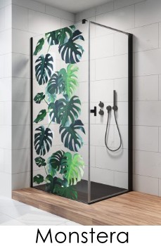 Monstera